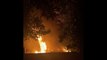 Car fire in Wollongong - June 17, 2022 - Illawarra Mercury