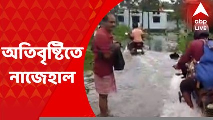 Alipurduar News: টানা বৃষ্টিতে জলমগ্ন আলিপুরদুয়ারের একাধিক এলাকা