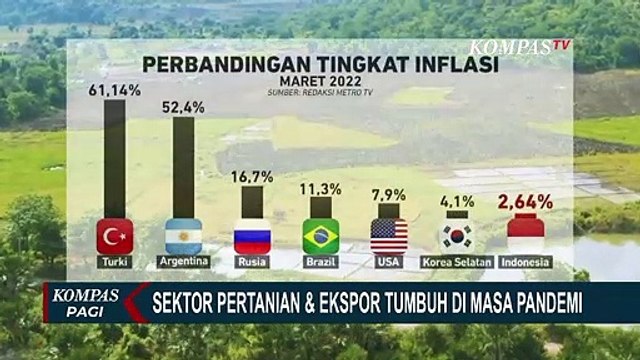 Indonesia Mampu Tekan Inflasi di Bawah 3% Saat Pandemi, Sektor Pertanian Jadi Cagak Ekonomi Nasional