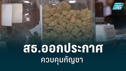 สธ.ออกประกาศควบคุม "กัญชา" ห่วงตู้กดน้ำอัตโนมัติ | เที่ยงทันข่าว | 17 มิ.ย. 65