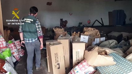 Matadero ilegal en Madrid