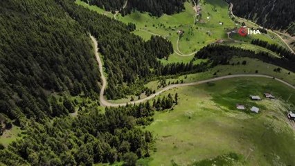 Gümüşhane'de yayla göçü başladı