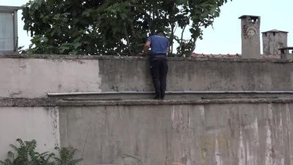 Hırsızlık zanlısı kadın, kaçtığı çatıda yakalandı
