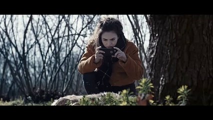 Mühr-ü Musallat Perihan