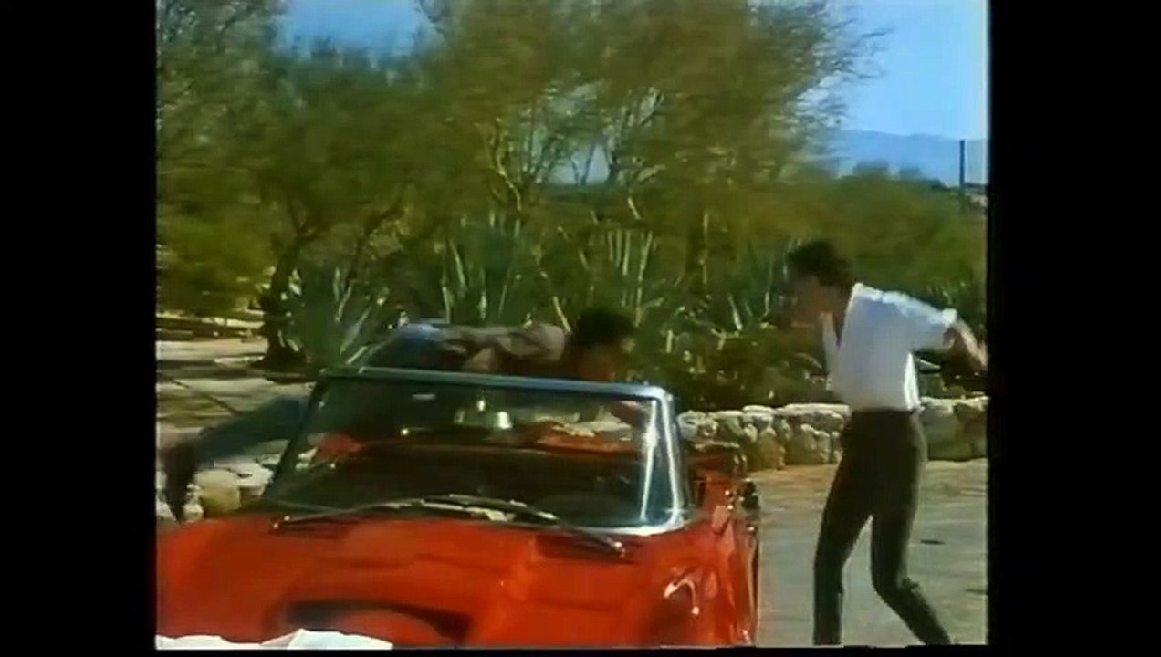 Air Borne - Flügel aus Stahl Trailer DF