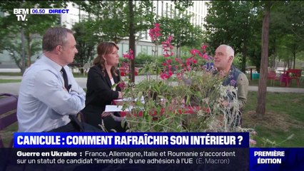 Canicule: créer des îlots de fraîcheur avec des végétaux pour mieux supporter les fortes chaleurs