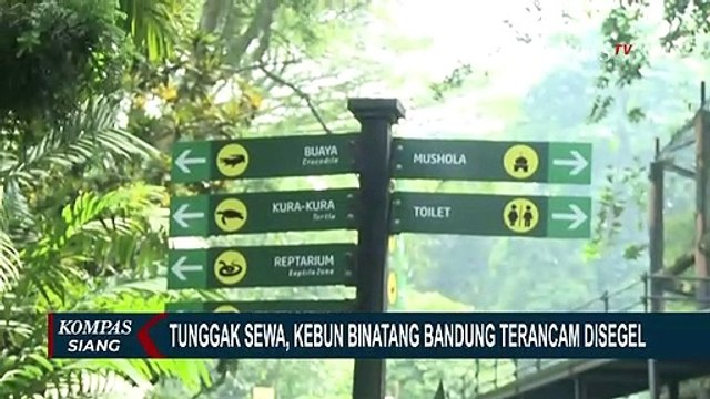 Terkait Tunggak Iuran Sewa Lahan, Kebun Binatang Bandung Terancam Disegel Pemkot!