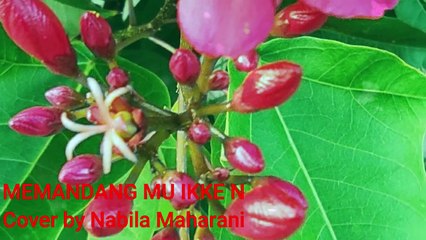 LAGU LAGU TEMAN HATI YANG INDAH