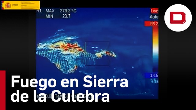 Más de 200 efectivos luchan contra cinco fuegos en Sierra de la Culebra (Zamora)