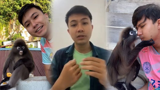 Pilih jiran atau lutung? Akhirnya pemuda ini terpaksa tinggal rutin ‘belanja’ lutung makan setiap hari… Semuanya lepas trending di TikTok