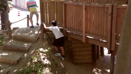 «Projet Oasis» : comment les écoles parisiennes luttent contre la canicule