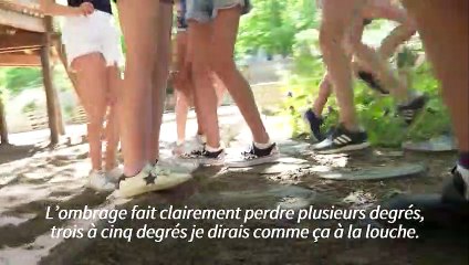 A Paris, des cours "oasis" pour faire face au réchauffement climatique