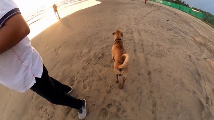 Sun set of Morjim Beach ! Goa