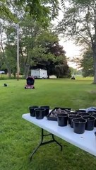 La séance de quad dans le jardin a mal tourné