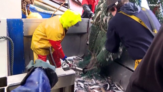 Страны ВТО договорились о рыбе, вакцинах и продовольствии