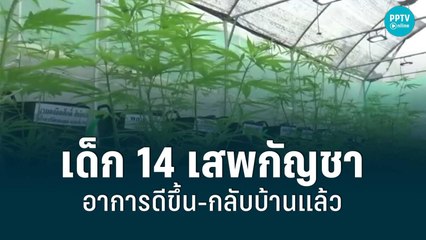 เด็ก 14 เสพกัญชา อาการดีขึ้น-กลับบ้านแล้ว | เข้มข่าวค่ำ | 17 มิ.ย. 65