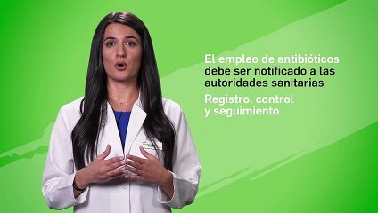 ¿Cuando darle antibióticos a mi mascota? El problema de las resistencias