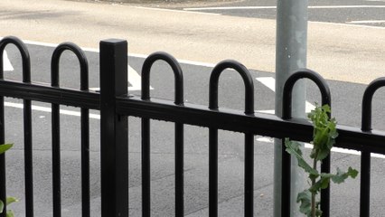 Dartford resident's anger as council force her to take down privacy screen, leaving her garden exposed