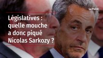 Législatives : quelle mouche a donc piqué Nicolas Sarkozy ?