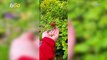 Man’s 3 Year Friendship with Wild Robin Leads to Other Birds Flocking to See Him