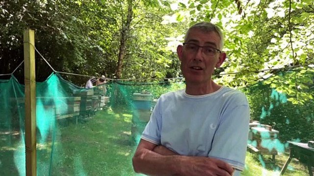 Repeated vandal attacks on beehives leaves Liverpool beekeeping society looking for new home