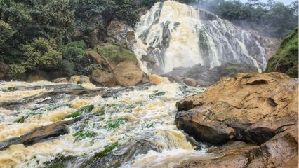 L'UNESCO désigne 11 nouvelles réserves de biosphère dans le monde