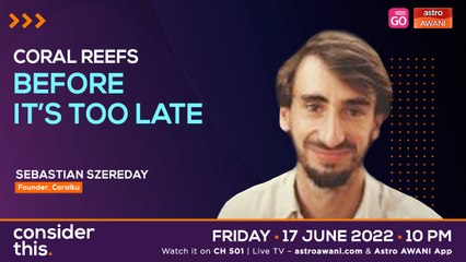 Consider This: Coral Reefs (Part 1) - Window Of Opportunity