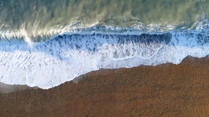 Seashore - Harry McMann