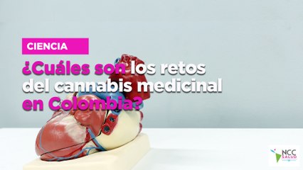 ¿Qué es la estenosis aórtica? Conoce los síntomas de esta cardiopatía