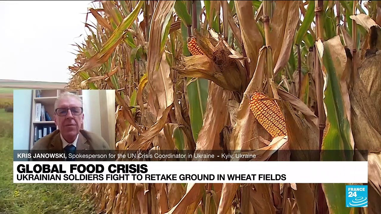 Russia's Black Sea blockade halts grain exports from Ukraine, 'one of