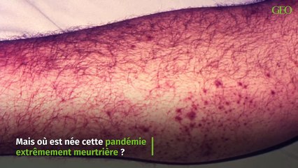 Où est née la peste noire ?