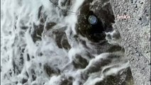 İSKİ: Riva Deresi’ne arıtılmamış atık su deşarjı yapıldığı iddiaları tamamen gerçek dışıdır