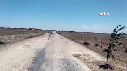 Aksaray'da bozuk yoldaki çukurlara ağaç diktiler