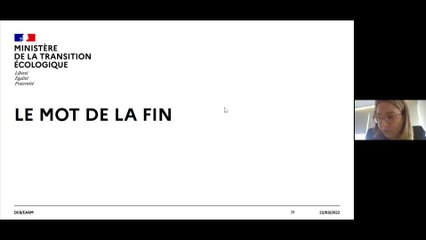 Скачать видео: Clôture du webinaire 5/5 - Webinaire « Eaux souterraines : rendre visible l'invisible sous nos pieds » (Mars 2022)