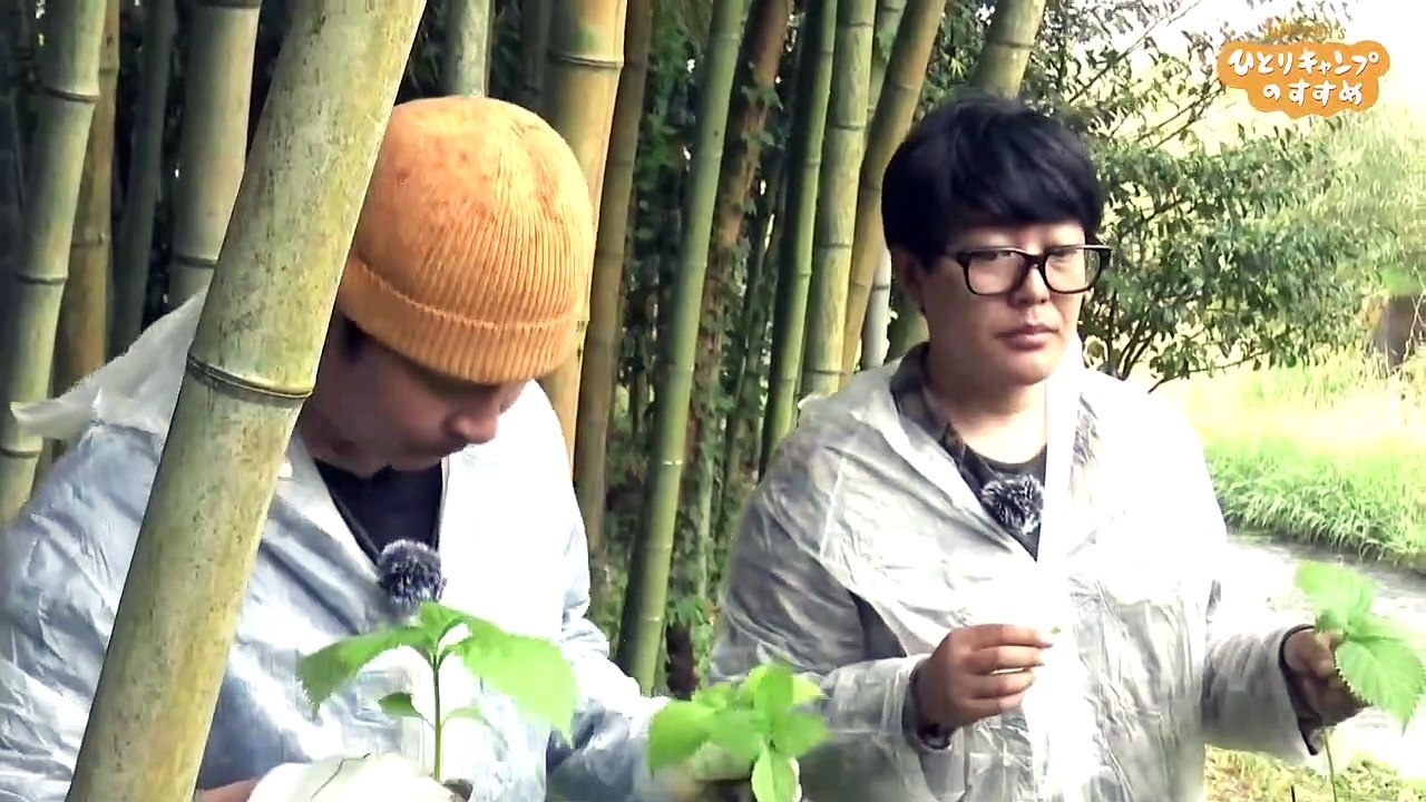 ヒロシのひとりキャンプのすすめ 2022年6月17日 野の食材で天ぷらクッキング vs ヒロシと太の竹細工_1