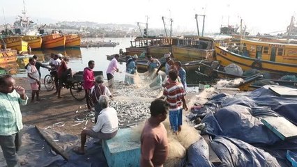 VİSAKHAPATNAM - Hindistan'daki balıkçı limanı günde yaklaşık 15 bin kişiye gıda sağlıyor