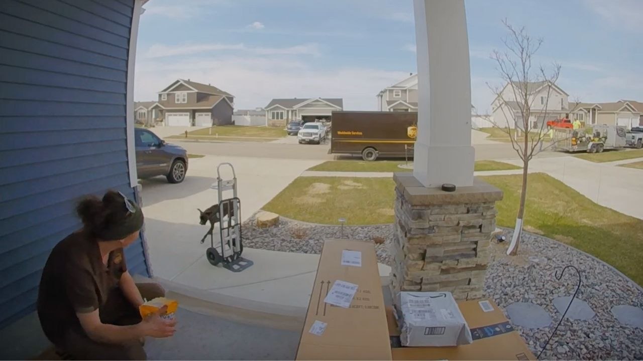 UPS Driver Rescues Dog That Escaped From House | Happily TV