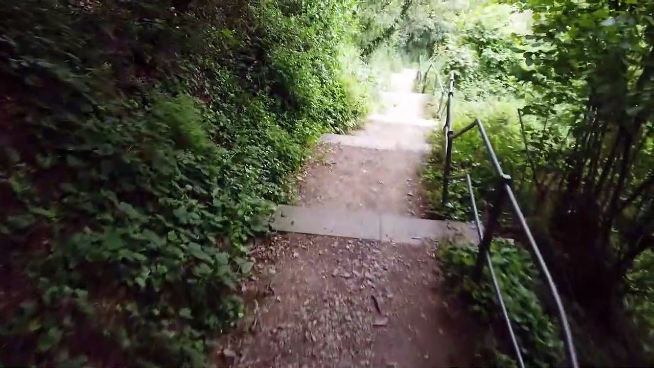 DER VOLKSEHRER : Lauf um die Lorelei (zu bewundern) | HEIMAT