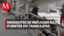 En Tamaulipas, migrantes se refugian bajo puentes fronterizos
