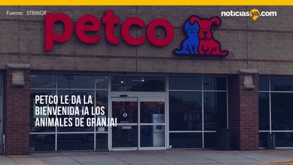 Petco le da la bienvenida ¡a los animales de granja!