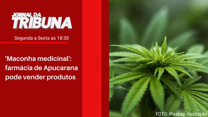 'Maconha medicinal': farmácia de Apucarana pode vender produtos