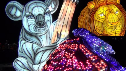 Vivid Sydney Taronga Zoo, VidSyd 9-17, 16 Jun 2022