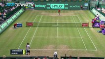 Kyrgios cruises into Halle semis