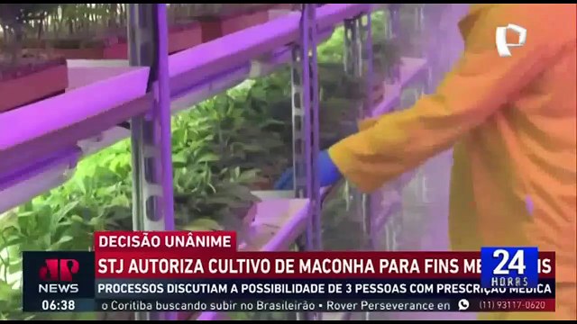 Brasil: Pacientes reciben autorización para cultivar cannabis con fines medicinales