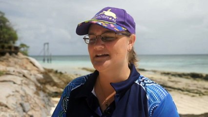 Turtle hatching trend threatens to wipe out the species