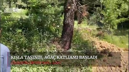 BirGün talan edilen Çekmeköy Kışlası’na girdi: Kışla taşındı ağaç katliamı başladı