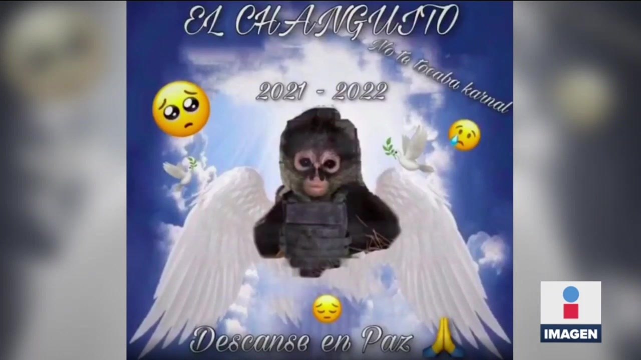 “No te tocaba, carnal”: Componen corrido a mono abatido tras balacera en Edoméx
