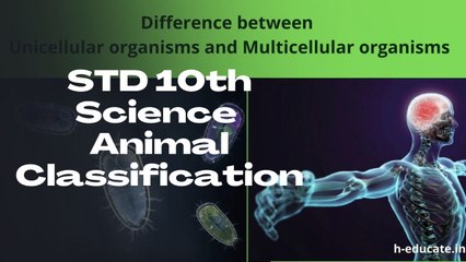 "दहावी परीक्षेची तयारी | STD 10th Science Animal Classification