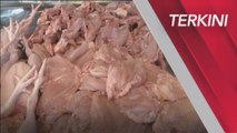 [TERKINI] Simpanan stok ayam bulat pertama tiba hari ini - LPP