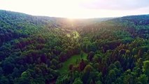 Nature Drone aerial Stock Footage (Free Video)